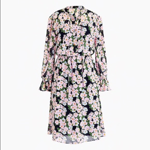 NWT jcrew dress - Picture 1 of 3